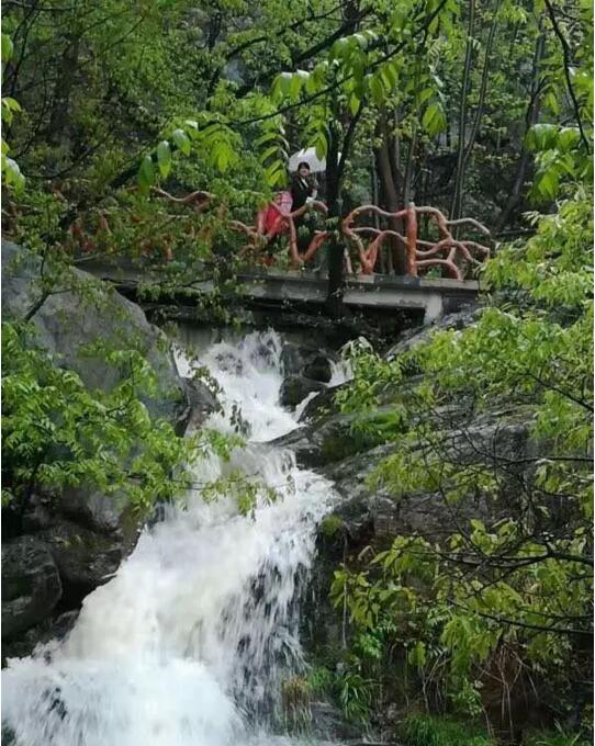 河南--平顶山诗景龙潭峡杜鹃花节一日游